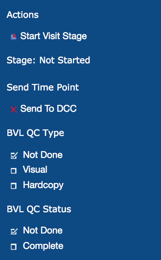 panel UI with outdated, pixelated icons